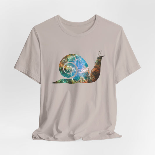 Spiral Galaxy Snail